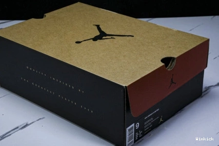 (2025) Game Flu 12 JORDAN AIR CT8013-002 0822